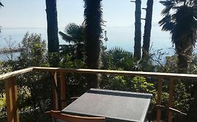 Studio Apartman Arni